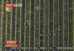 k1体育网站-法国杯清晨走向成谜，阿斯顿维拉更衣室发声，压力陡增，控场能力受关注